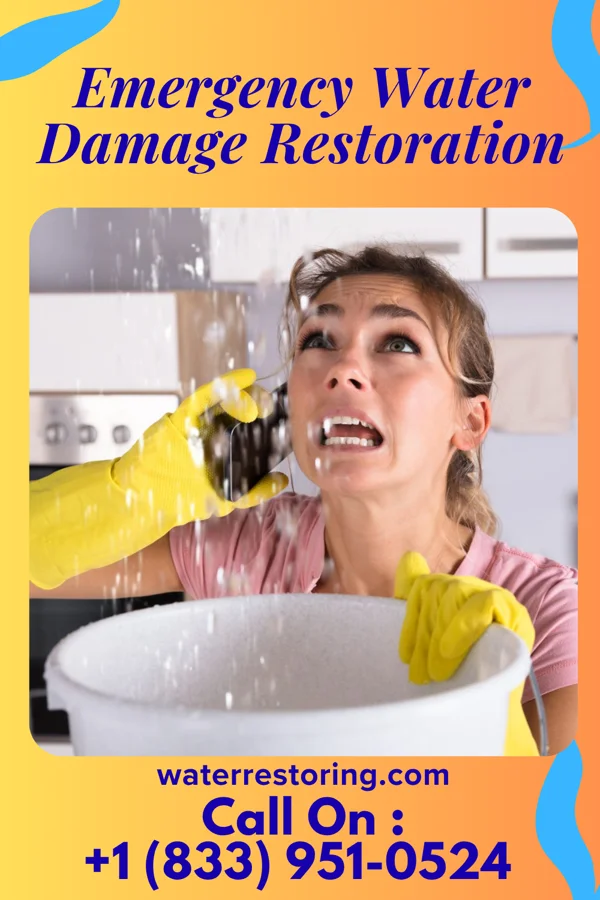 Emergency Water Damage Restoration in Tall Timber, CO